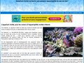Voir la fiche : Aquarium Récifal