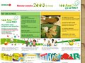 Voir la fiche : huile d'olive