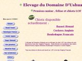 Voir la fiche : Chiot Basset Hound