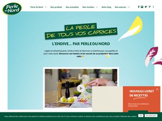Voir la fiche : Recettes d'endives et de salades