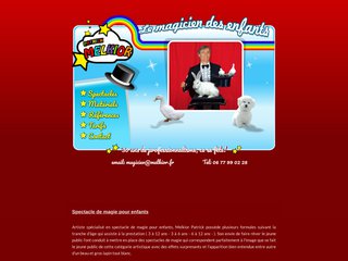 Voir la fiche : Spectacle de magie pour enfants
