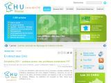 Voir la fiche : Centre hospitalier : Réseau-CHU