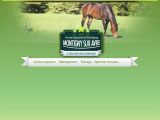 Voir la fiche : Cheval eure et loir | poneyclub chartres