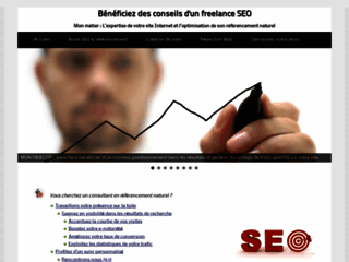 Consultant référencement naturel