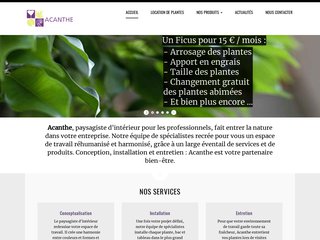 Acanthe location de plantes