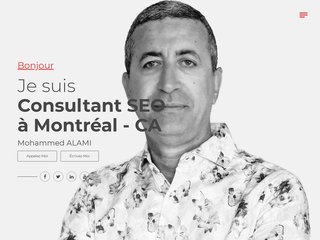 Mozalami site de Mohammed ALAMI consultant SEO
