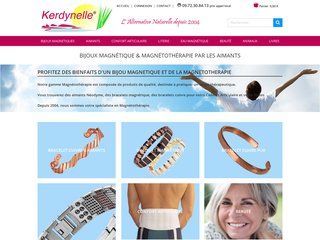 Kerdynelle - Bracelets Magnétiques
