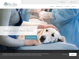 Anesthésie de chien âgé