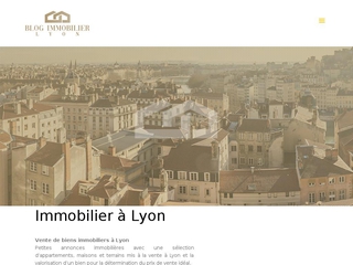 Mieux connaître le secteur de l’immobilier lyonnais