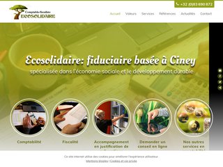 Ecosolidaire - comptable fiscaliste en Wallonie et à Bruxelles