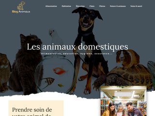 Des astuces pour prendre soin de votre animal