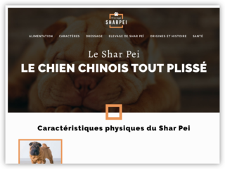 Tout sur le Shar Pei