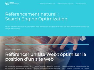 Service référencement