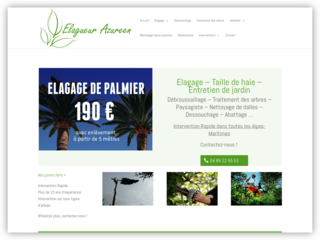Azureen : Service d’élagage d’arbres à Antibes 06