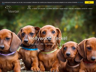 Hollywood Teckel, Éleveur de teckel