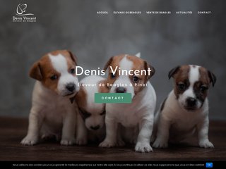 éleveur de beagles Hérault