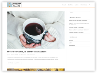 En savoir plus sur le curcuma