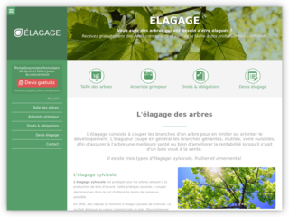 guide pratique sur la tailles des arbres