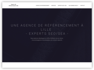 Référenceurs lillois