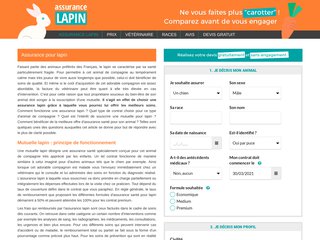 Assurance lapin