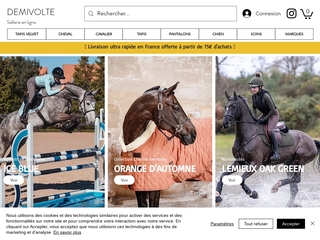 Sellerie en ligne Demivolte