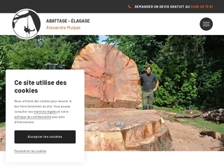 Arboriste spécialisé en abattage et élagage en Belgique