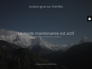 Location grue télescopique sur chenilles