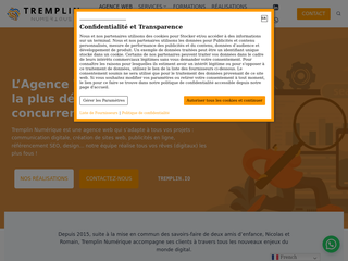 Tremplin Numérique agence web référencement SEO