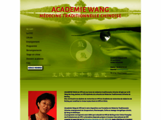 Académie Wang de MTC