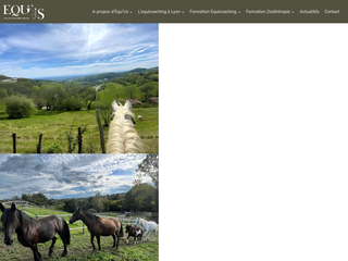 Equicoaching pour les professionnels et les particuliers